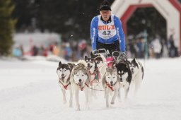 Lenzerheide 2013